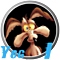 Yogi