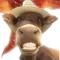TwisterCow