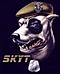 SkyT