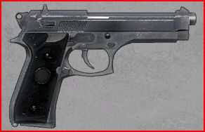 M9_pic.JPG