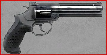 MP412REX_pic.JPG