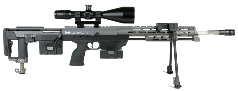 dsr1_large.gif