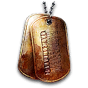 dt1.png